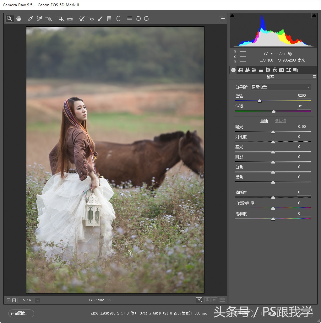 怎么装adobecameraraw,adobecameraraw工具怎么添加