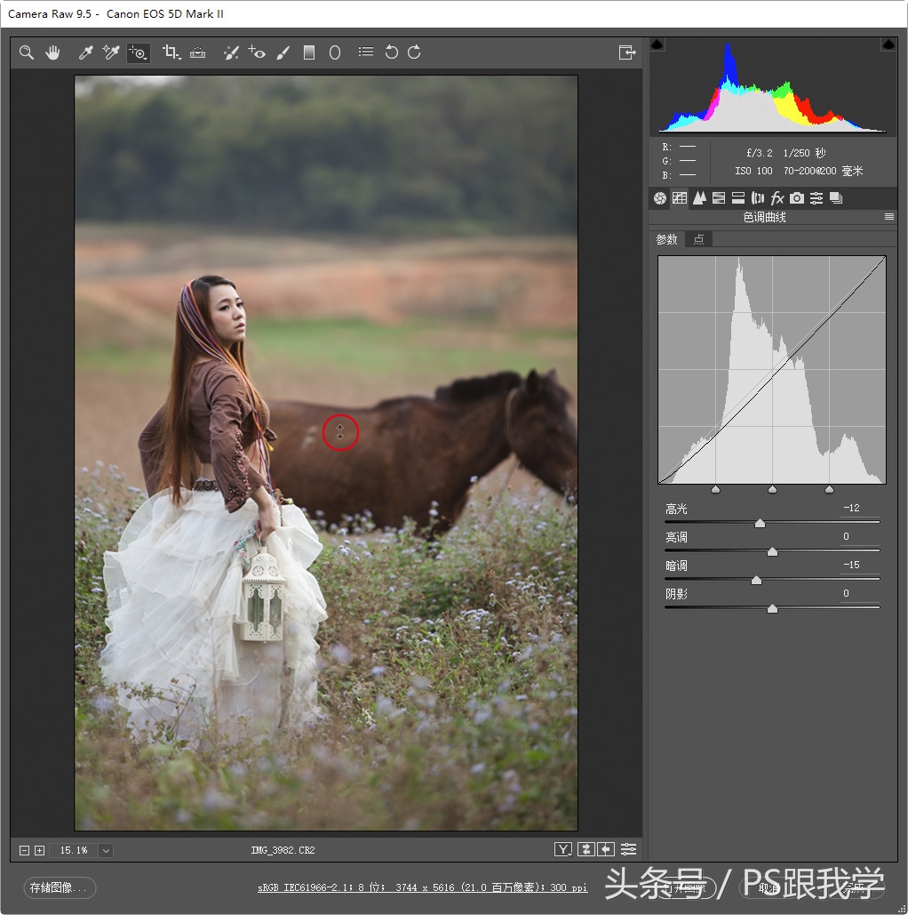 怎么装adobecameraraw,adobecameraraw工具怎么添加