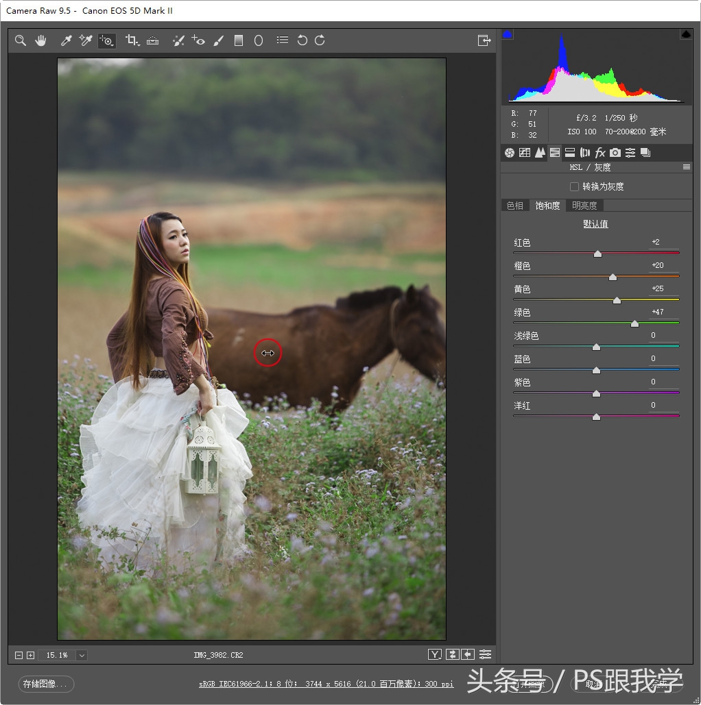 怎么装adobecameraraw,adobecameraraw工具怎么添加