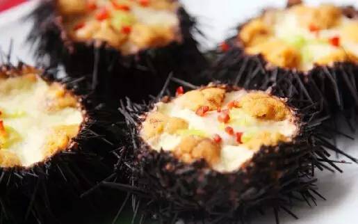 外伶仃岛旅游攻略,外伶仃岛一日游攻略多少钱