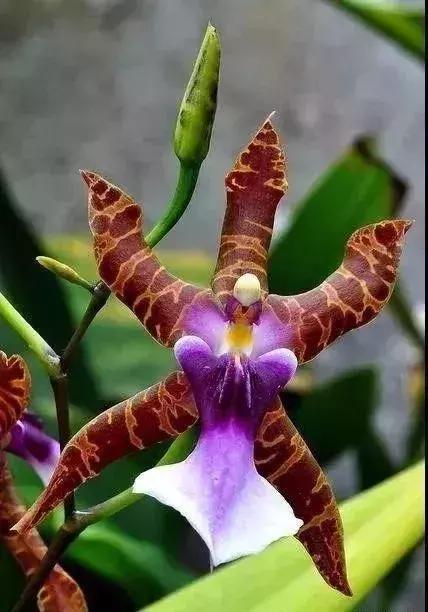 五一集会的图片可保存,五一微信群图片