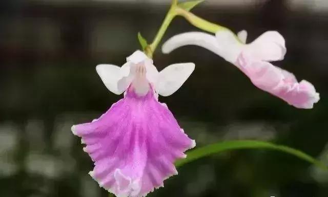 五一集会的图片可保存,五一微信群图片