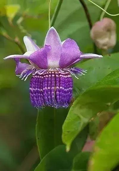 五一集会的图片可保存,五一微信群图片