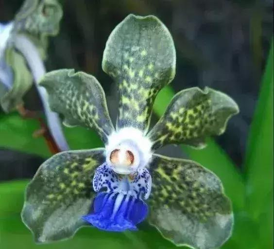 五一集会的图片可保存,五一微信群图片