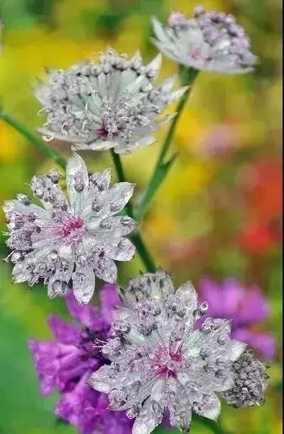 五一集会的图片可保存,五一微信群图片