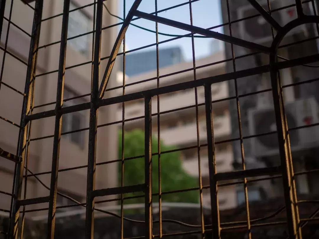 奥林巴斯e-pl9拍摄视频,奥林巴斯e-pl7镜头