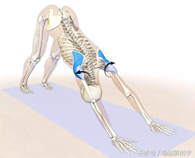 下犬式瑜伽怎么练,怎么做好瑜伽下犬式