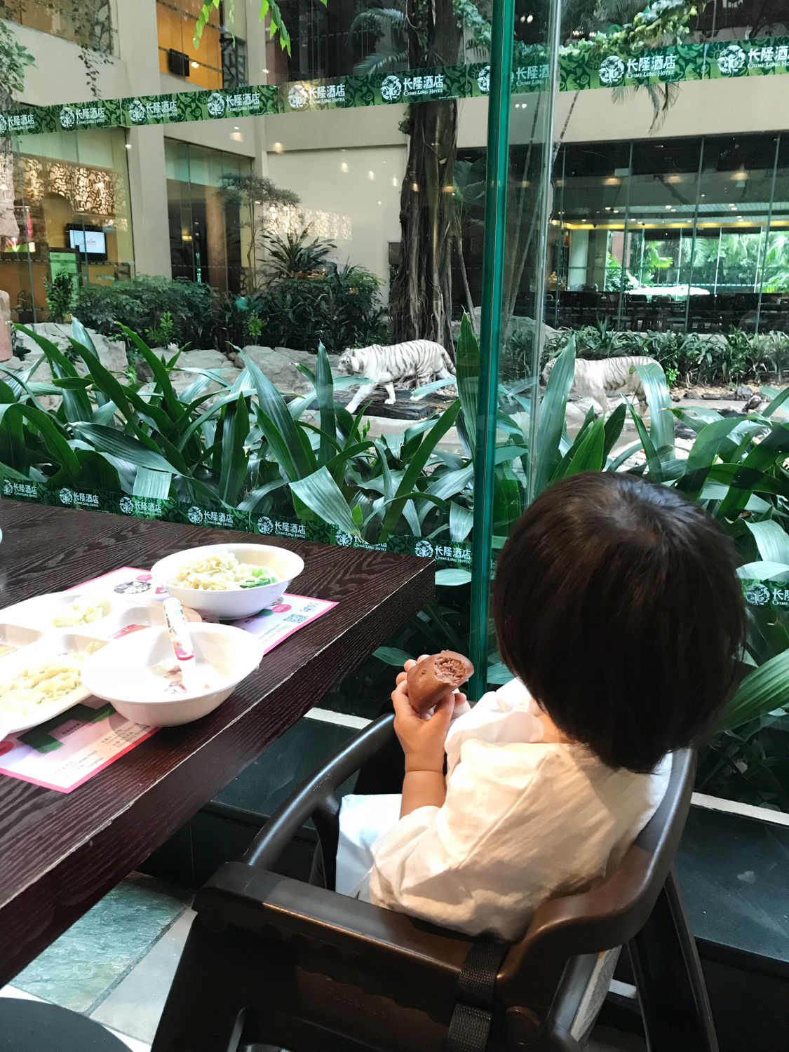 广州长隆熊猫酒店套票攻略,番禺长隆野生动物酒店住宿攻略