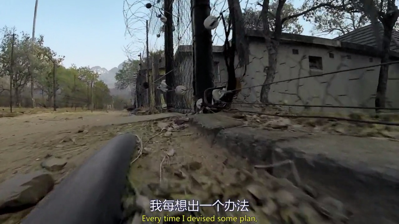 来自非洲的平头哥（蜜獾），一个要开挂的动物！