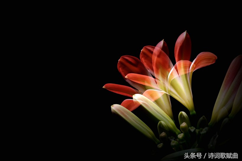 谁说毛*东泽**没写过抗日有关诗词，这几首难道不是？