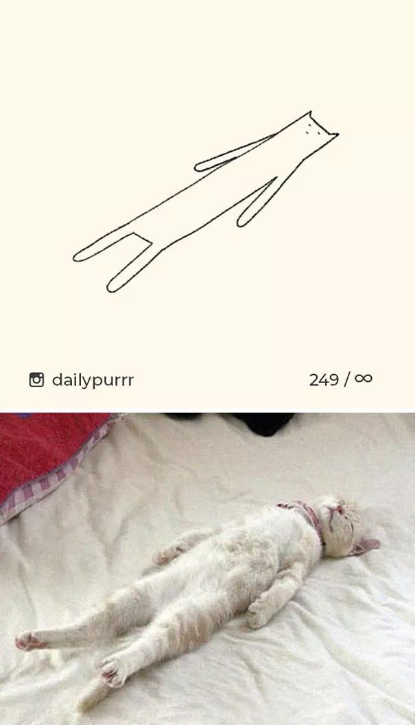 关于猫的肖像画,猫各种形态的影子画