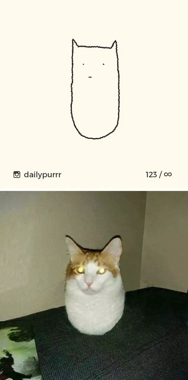 关于猫的肖像画,猫各种形态的影子画