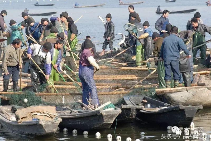 绍兴鉴湖旅游,绍兴鉴湖老照片