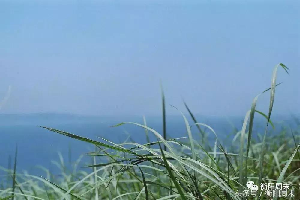 媲美济州岛，秒杀北爱尔兰，厦门旁这座世界级火山岛，竟没人知道