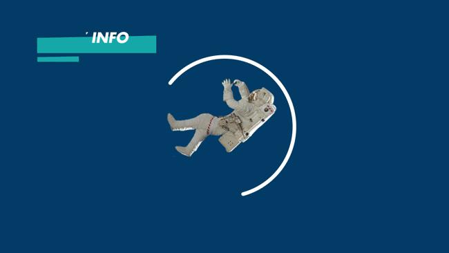 除了VansJapan，偏爱“日本制”的Vans还在默默推进着一个老司机系列