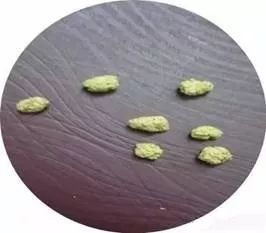 「康复吧」头晕、头痛怎么办？这个方法帮你忙