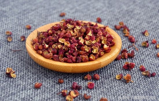 盆栽花卉起虫用什么农药,阳台花卉有虫不要慌