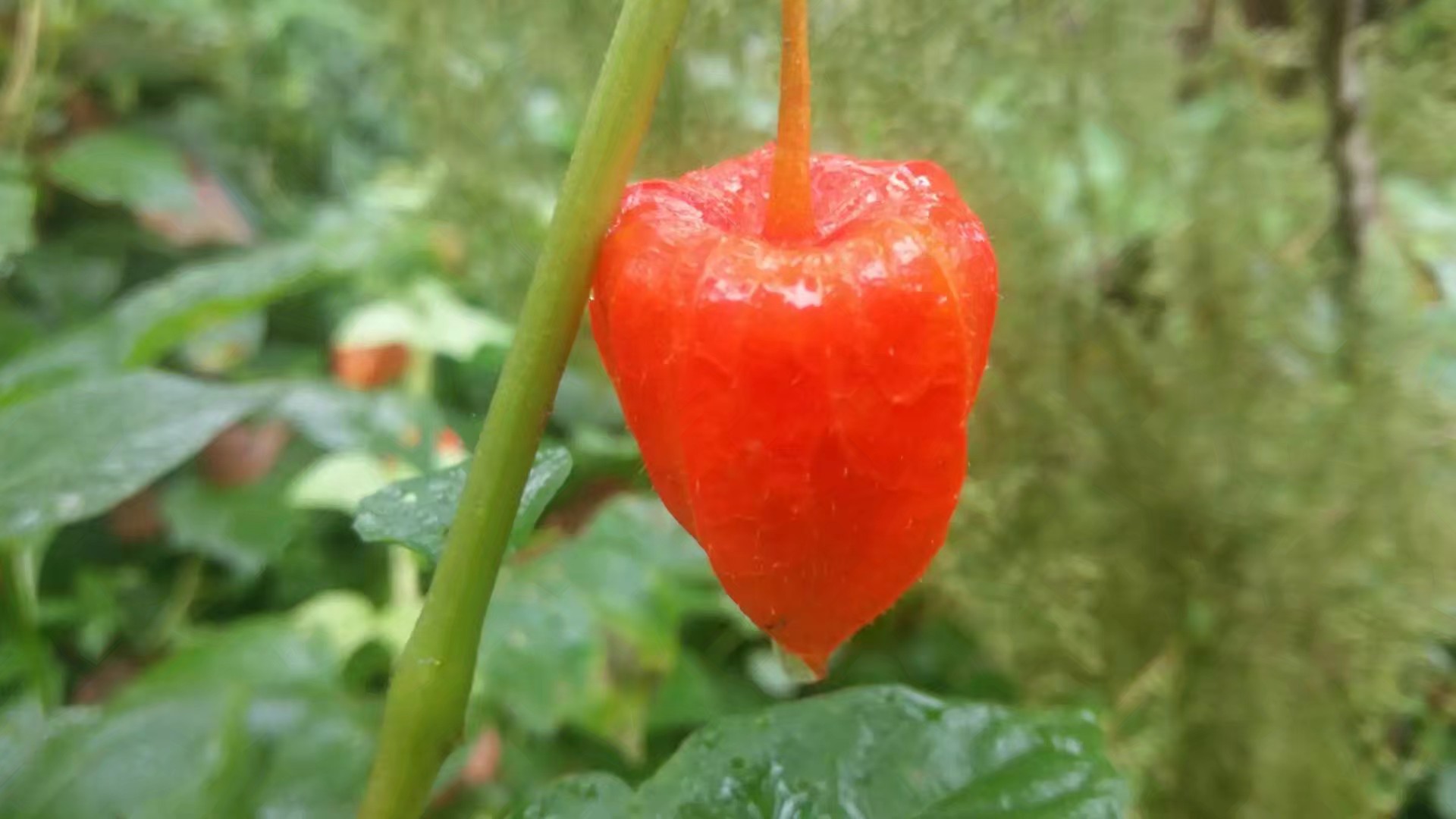 骑车旅游多少钱,骑自行车旅游吃住每天多少钱