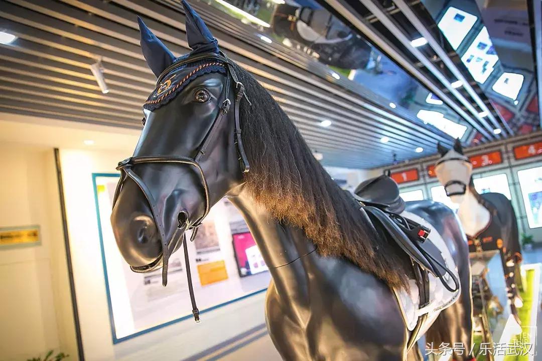 武汉学风好的大学,武汉高校外号