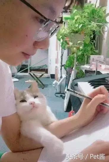 主人专心在创作音乐，不料身旁小猫咪泛起花痴：认真的男人真帅！