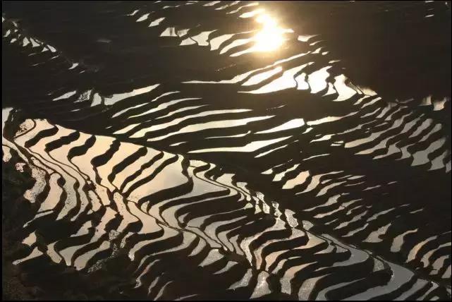 各个民族特点的菜,中国有什么特点菜