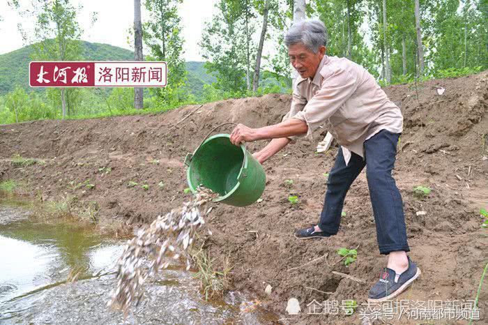 河南老人孤岛养鱼替儿还债：账本从不离身，天天啃馒头吃大蒜！