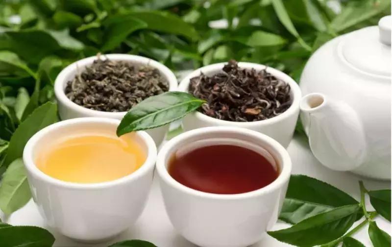 九月份西安展会安排,西安八月展会信息查询