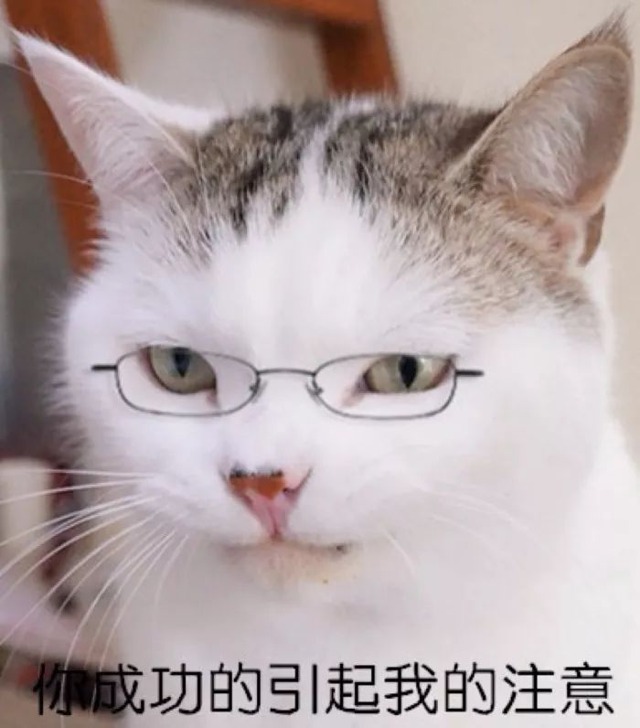 sk电风扇家用无叶风扇,熊小孩团购