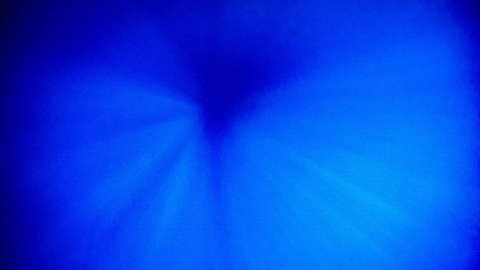 美娜多潜水圣地,印尼美娜多海豚潜水