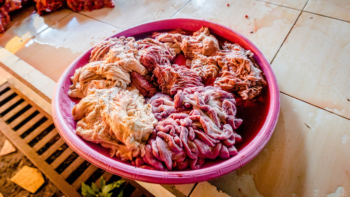 美娜多潜水圣地,印尼美娜多海豚潜水