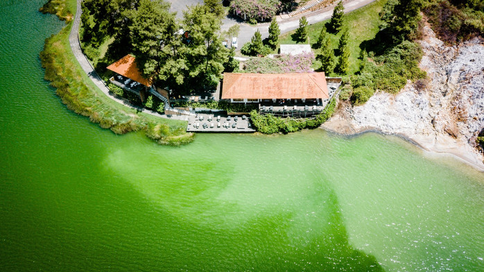 美娜多潜水圣地,印尼美娜多海豚潜水