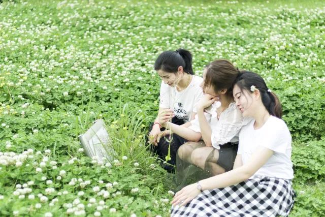 杨汛桥到杭州鼓楼,拱宸桥和杨汛桥