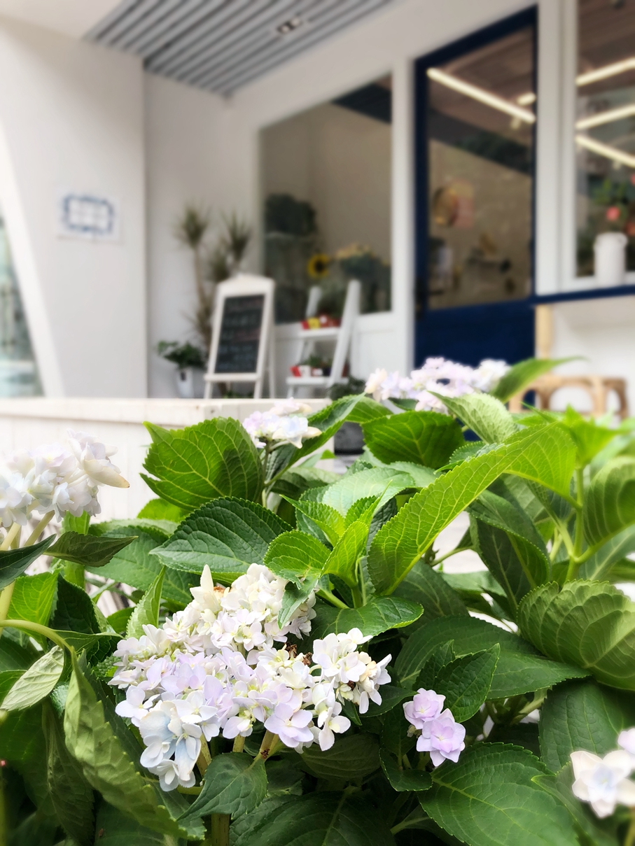 靠谱的花店,在哪可以找到有创意的花店