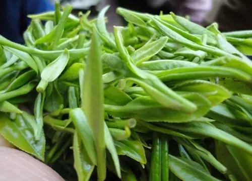 中国十大土豪茶，喝一口几万块都没了！