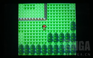 精灵宝可梦游戏盘点冰系道馆,精灵宝可梦游戏各个版本的对比