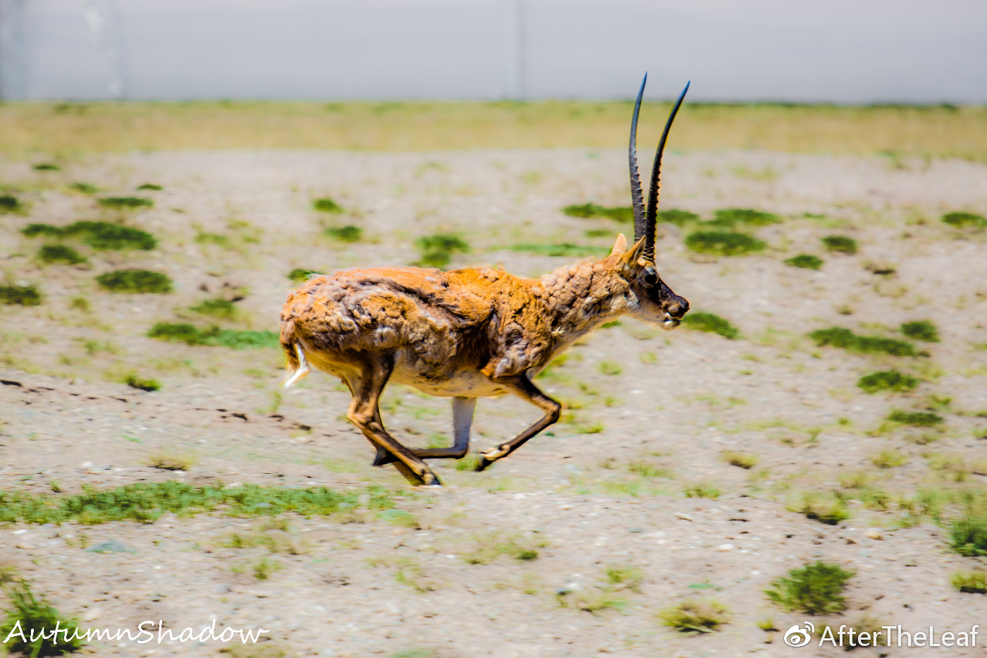鎽勫奖鍓緫鑷鍏ラ棬,鍓槧鎽勫奖鍏ラ棬鏁欑▼