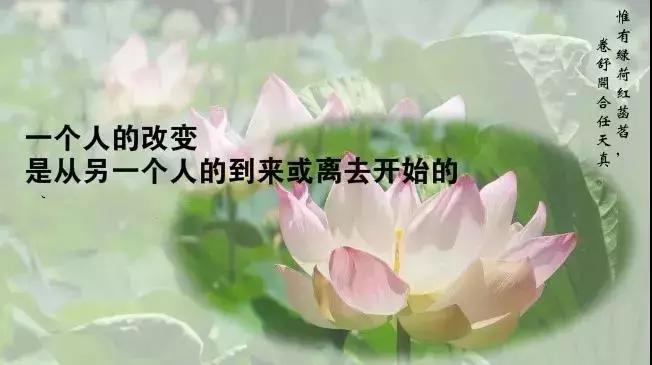 人生感悟朋友圈说说心情短语简短,人生感悟微信朋友圈说说大全简短