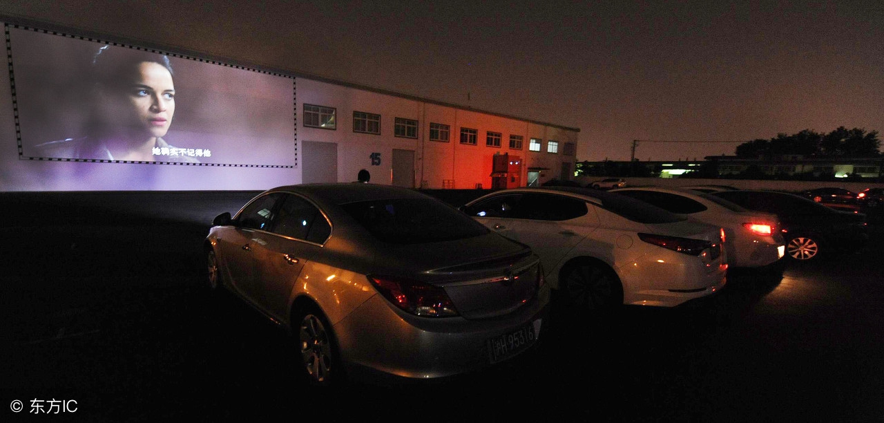 影迷路演攻略,上海电影节2024必看