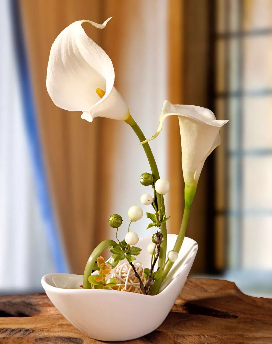 珍稀马蹄莲,如何让马蹄莲一年四季都活着