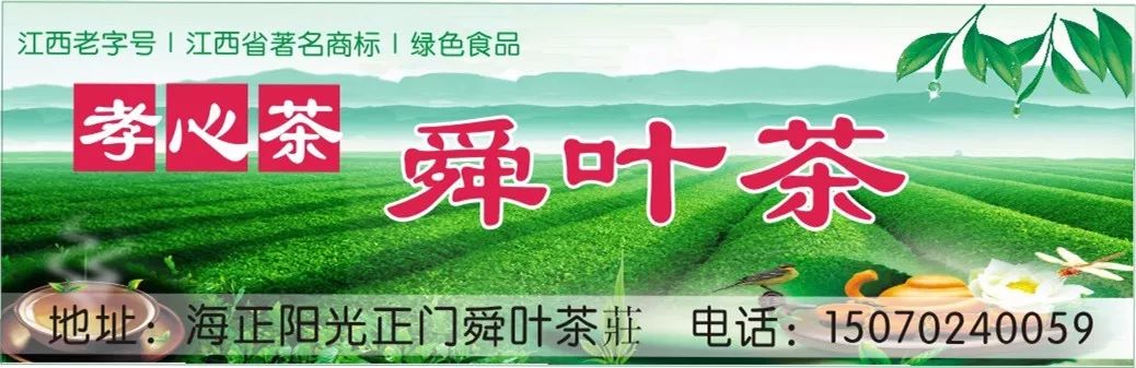 江西九江湖口龙虾养殖基地,湖口文泰村五分田龙虾养殖