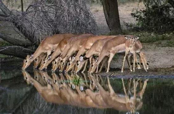 刚拍的你从未见过的集体照,史上最全的集体照