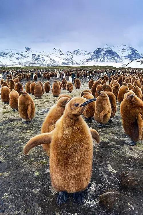 刚拍的你从未见过的集体照,史上最全的集体照