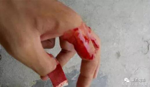 民间故事一个鸟蛋的故事,民间故事一颗鸟蛋的故事