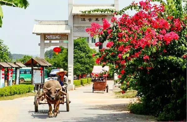国庆节福州飞哪里机票最便宜,十二月去哪机票最便宜