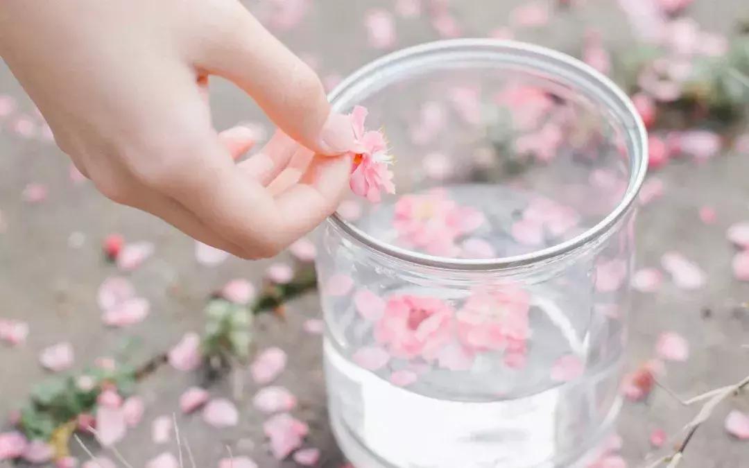 少年不识愁滋味为赋新词强言愁,少年不识愁滋味为赋新词强说愁