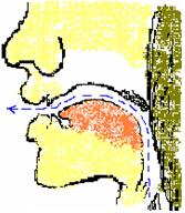 英语元音背诵,英语元音领读
