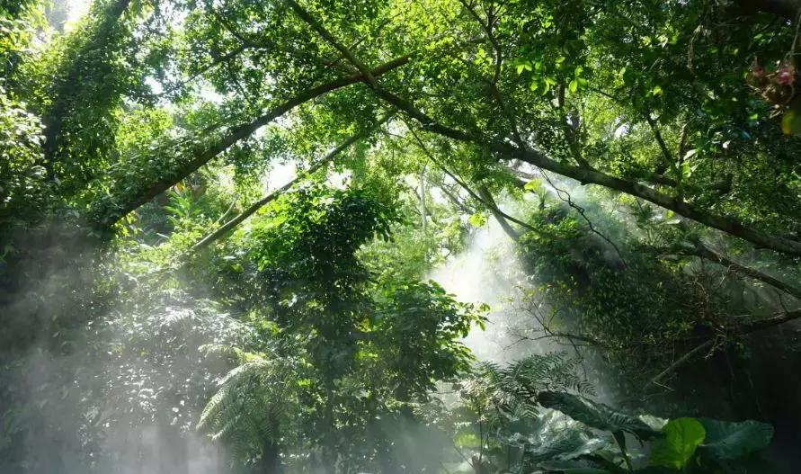 这个夏天总要来一趟浪漫的厦门,这个夏天再和你去一次厦门