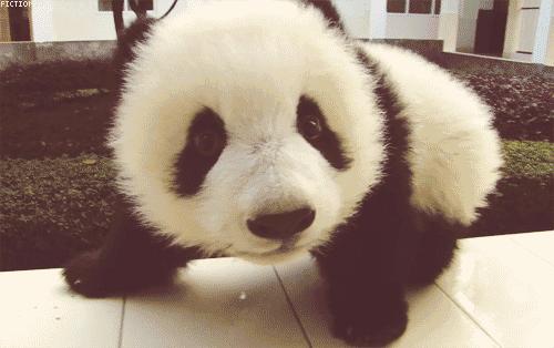 成蒲快铁站点位置图,成蒲快铁南线