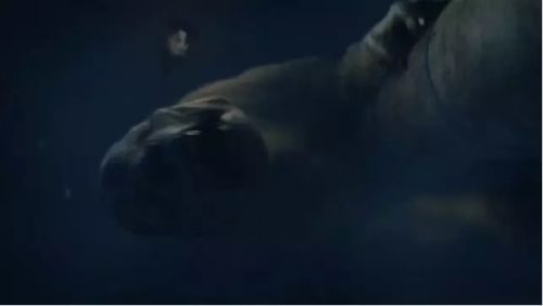 不经历陷入式恐怖，你不知道什么叫绝望