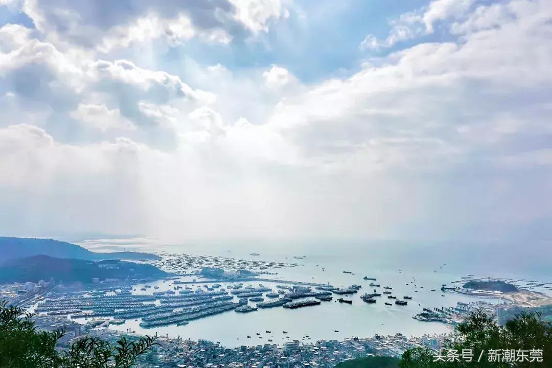 深茂高铁全程需要几个小时,深茂高铁经过中山站吗